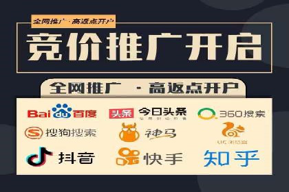 百度优化推广案例剖析：某电商平台的成功之路